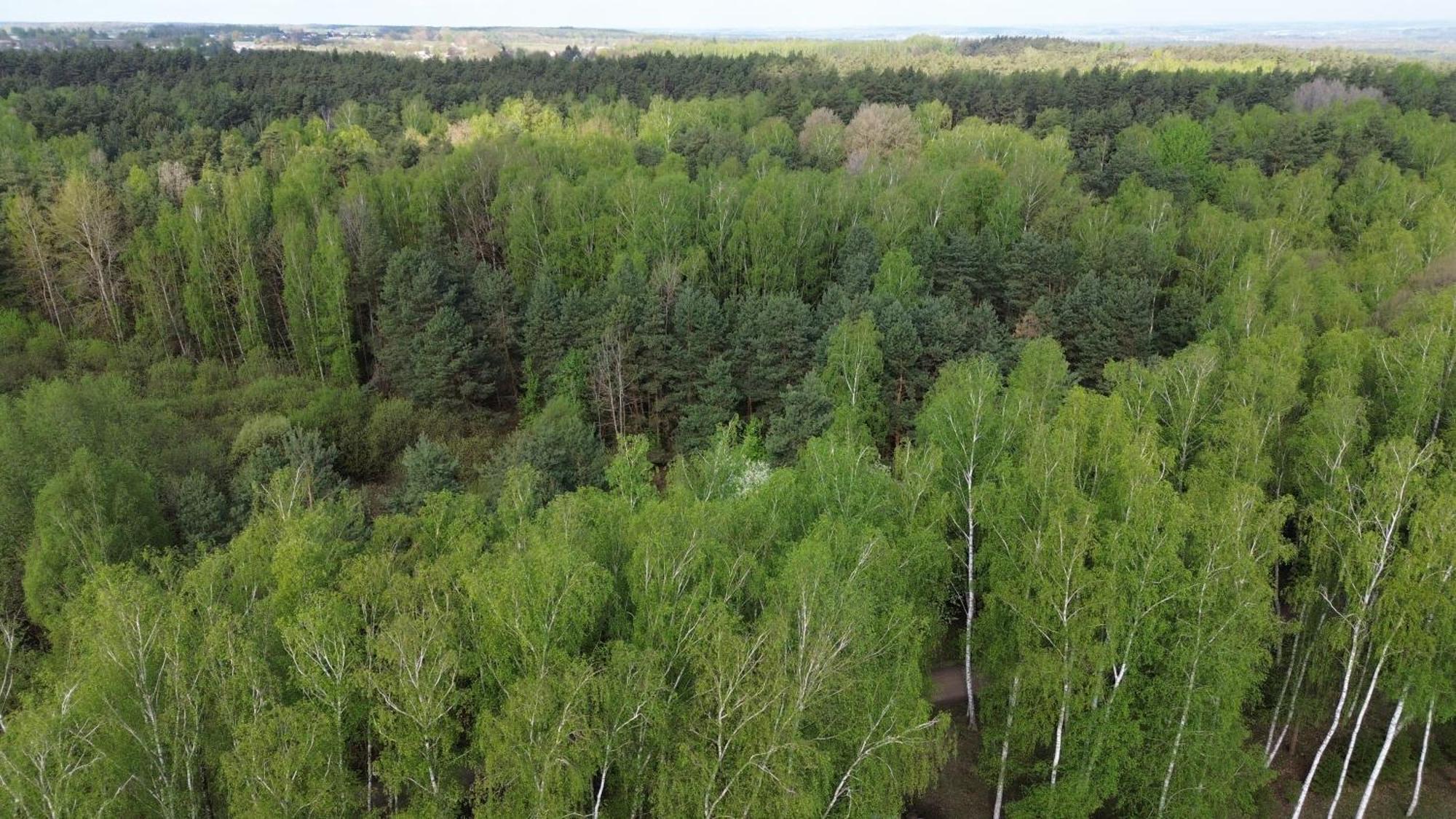 Dom Wakacyjny Z Ogromnym Ogrodem Witaszyn Bagian luar foto