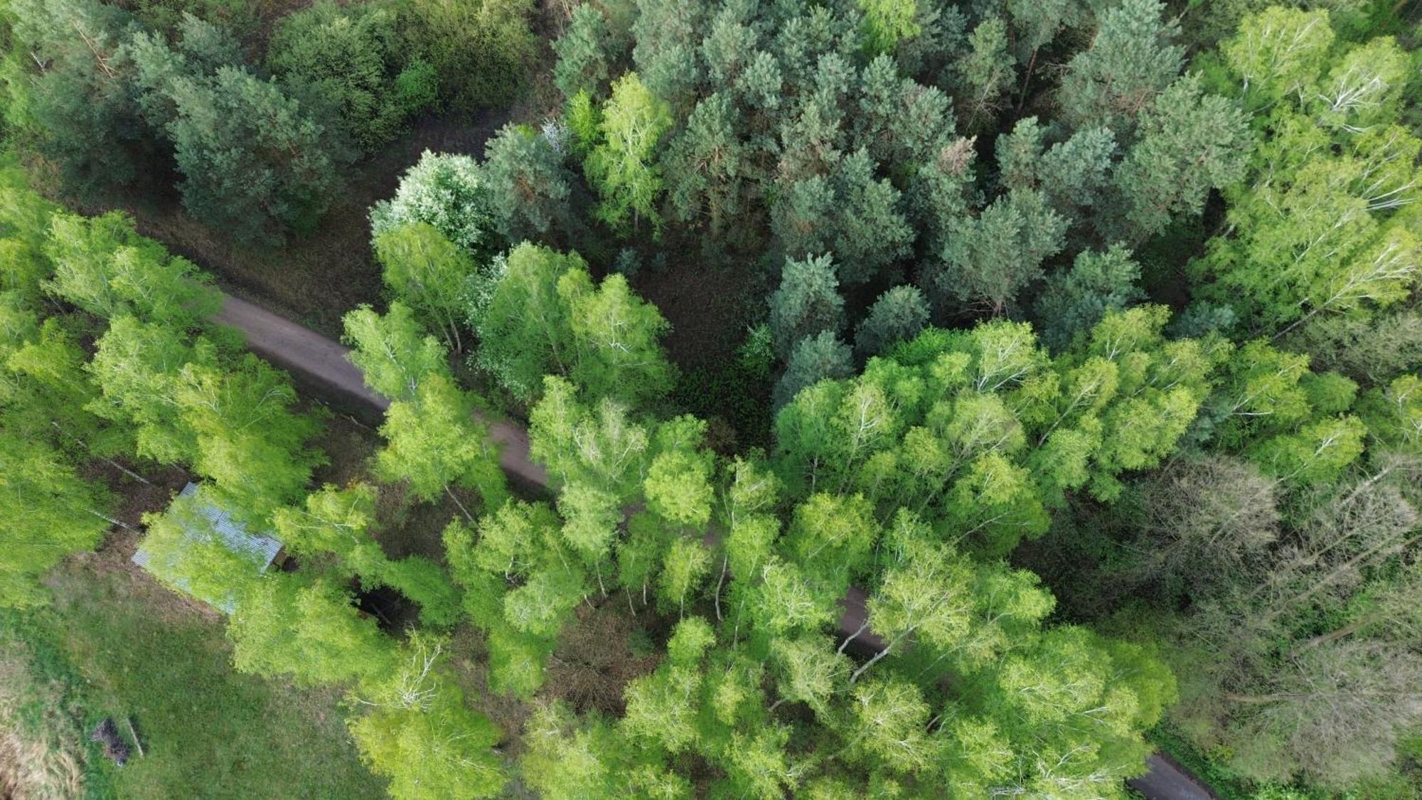 Dom Wakacyjny Z Ogromnym Ogrodem Witaszyn Bagian luar foto