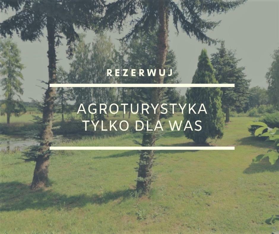 Dom Wakacyjny Z Ogromnym Ogrodem Witaszyn Bagian luar foto
