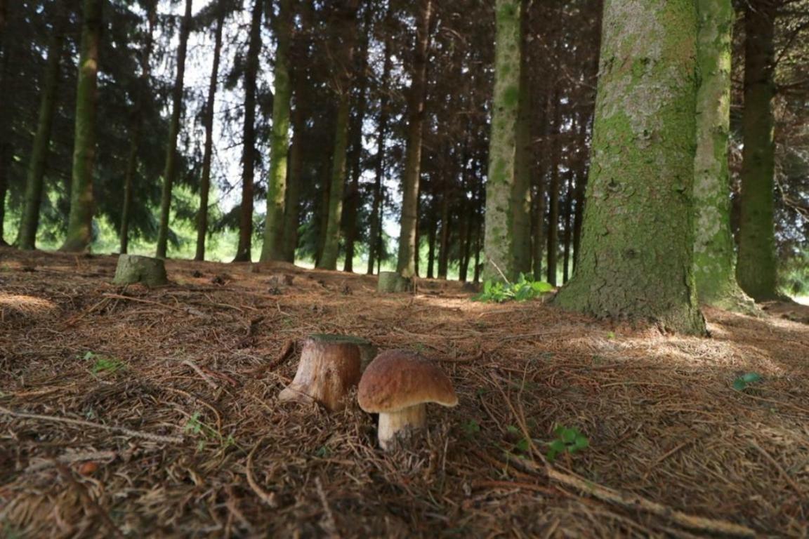 Dom Wakacyjny Z Ogromnym Ogrodem Witaszyn Bagian luar foto